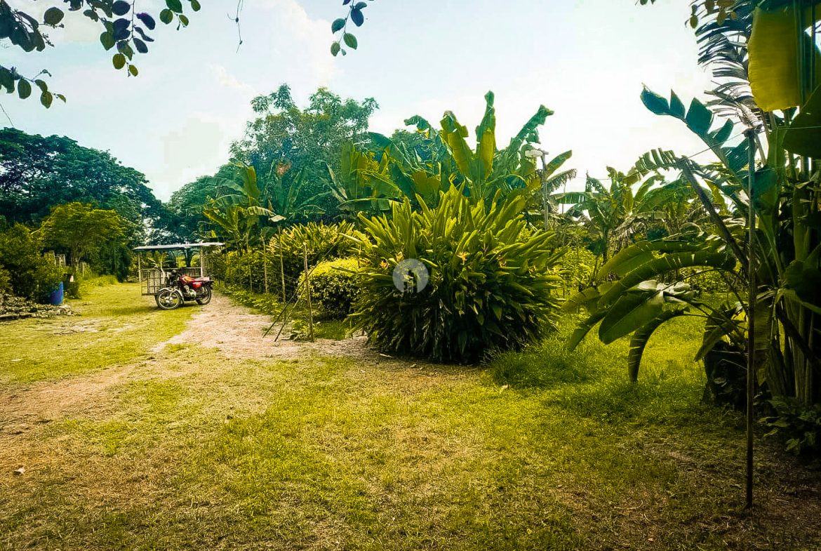 Magalang Pampanga﻿ Farm Lot by Golden Sphere Realty