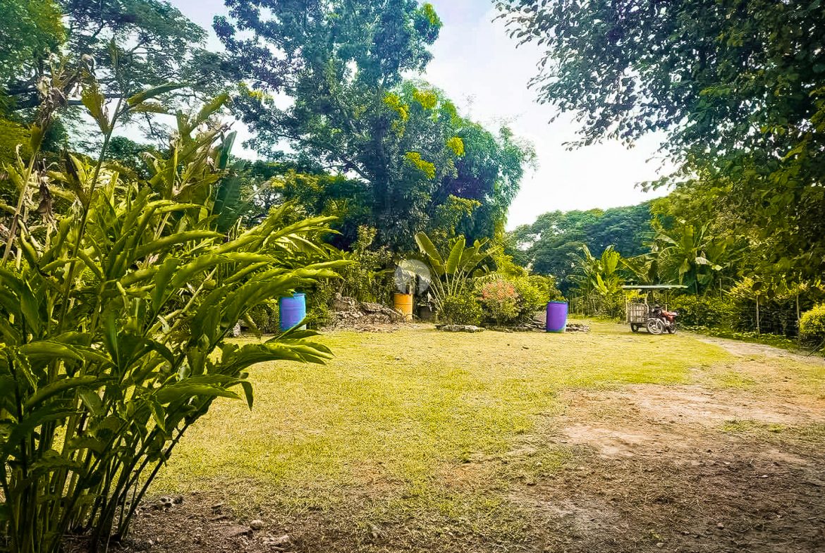 Magalang Pampanga﻿ Farm Lot by Golden Sphere Realty